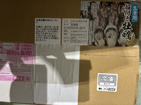 【期間限定10％値引き販売中】❄️ 生食用４ｋｇ 殻付き 牡蠣 急速凍結 🦪 松島牡蠣屋直送 BBQ・ホームパーティーに！ 🔥 オイスター 貝 😋冷凍牡蠣 貝類 二枚貝B