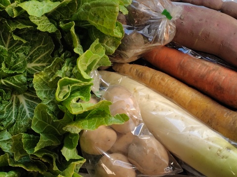 旬こそ命！旬のおすすめ野菜セット＊5品目以上～農薬/化学肥料・不使用