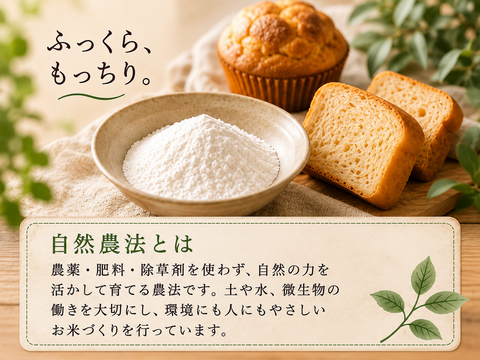 自然栽培・農薬・肥料不使用｜パンにおすすめの米粉「ミズホチカラ