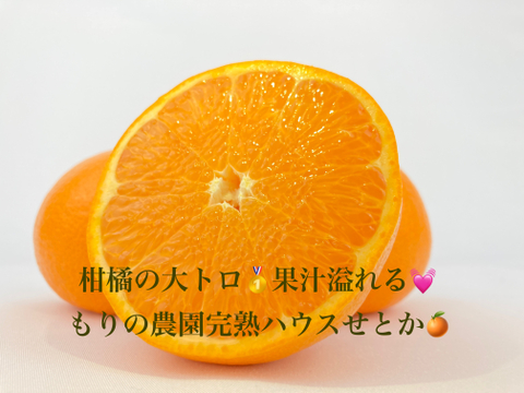 これぞまさに！【柑橘の大トロ👑】果汁溢れる💓ハウスせとか”ドルチェみかんシリーズ”✨箱込1kg