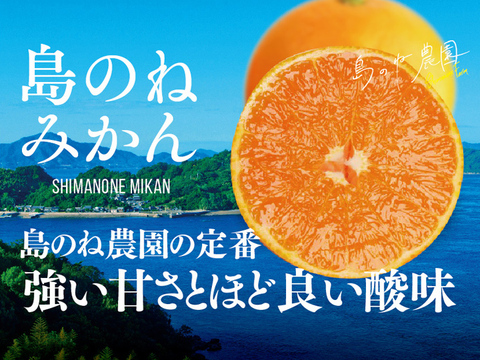 クリスマス限定セール！みかん 島のね農園【愛媛みかん/木成り完熟/5kg】 3420円→1480円