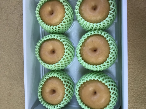 【贈答用】秋の味覚🎶新高梨 約2.5kg(6玉)