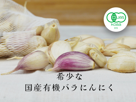 【有機バラにんにく300g入】【宮崎県産】 令和６年度産新有機にんにく王