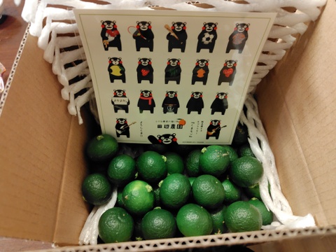 幻の柑橘「木酢」酢みかん1キロ