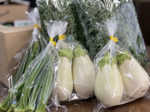 お野菜3点セット(白なす・長オクラ・カリーノケール)