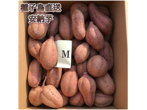種子島産安納芋 3S&M 混合サイズ 5kg｜甘くて濃厚🍠｜aimo農園直送