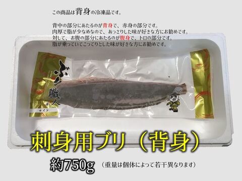 鹿児島産ぶり冷凍 刺身用ブリ 背身 鹿児島県産 食べチョク 農家 漁師の産直ネット通販 旬の食材を生産者直送