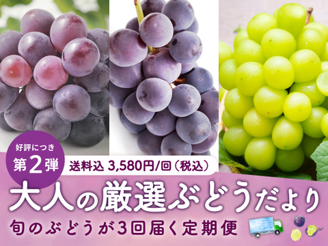 【食べチョク旬の食べ比べ便】ピオーネ