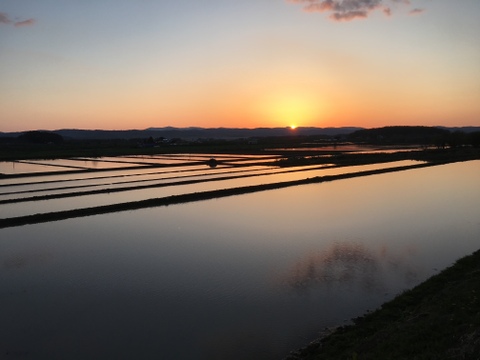 令和７年産 北海道 ななつぼし 【精米５kg】 わっさむのおこめ