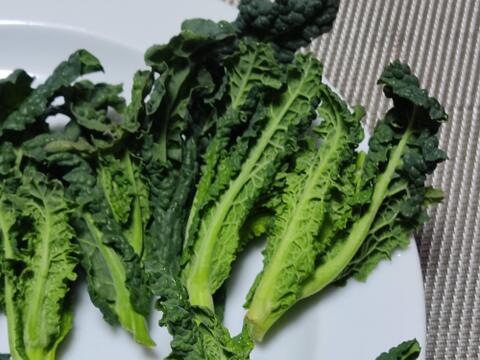 ✨【激レア】【今だけ限定】イタリアの黒い宝石“ベビーネロ”約80g＋旬のお野菜セット｜農薬・化成肥料不使用✨