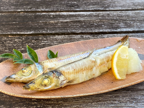 【福袋】簡単に食べれる深海セット