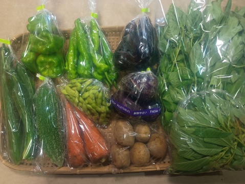 【10日分の野菜！】旬の野菜セット9～12品【農薬・化学肥料不使用】
