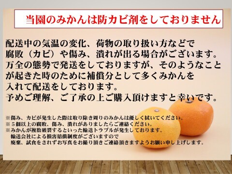 【10kg】日本初の自治体認定フルーツ・有田みかん
