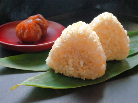 玄米が好きになる きらほ玄米4㎏(2kg×2袋)