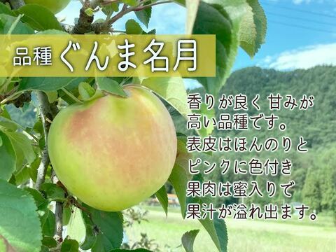 芳醇な甘み “ぐんま名月” 3kg(8～10玉) 贈答用 信州安曇野産 りんご  人気商品