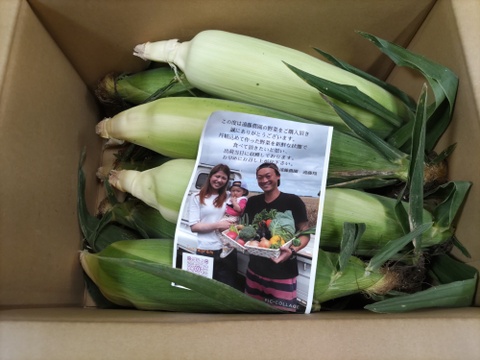 [超プレミア]北海道産！濃厚極甘とうもろこし12本🌽スイートコーン　訳あり
