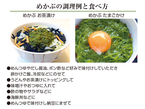 ネバトロ！【産地直送】たたきめかぶ90ｇスタンドパック5本 伊勢志摩産　鳥羽市の離島・菅島沿岸で収穫！　人気のおみやげ　鳥羽のお土産28選　NIPPONFOODSHIFT入賞商品