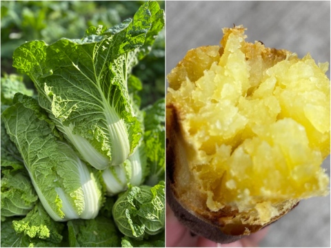 「ミニ白菜５玉とべにはるか３kg」霜降り白菜とあまいお芋。兵庫県但馬産。
