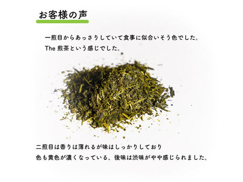 【詰め放題茶１０００円】若緑３１０ｇ お茶 緑茶 猿島茶　クリックポスト対応