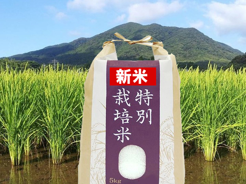 『元気つくし』 (白米5kg) 農薬除草剤不使用の特別栽培米（福岡県宗像）