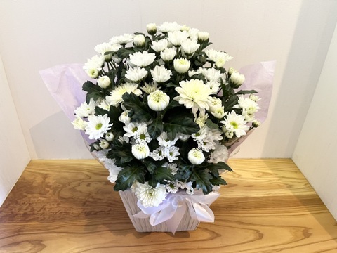白菊とスプレーマムのお供えアレンジメント