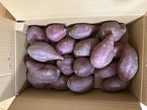 しっとり甘い熟成シルクスイート　丸Mサイズ　5kg さつまいも