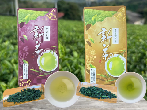 【2026年新茶】4代目おすすめ！新茶2品種飲み比べ！やぶきた＆さえみどり　70ｇ×2パック