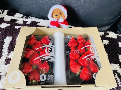 オーガニックあまおう　200gパック　
※2パックまで送料同じ(ヤマト60サイズ)※