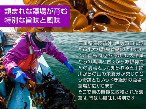 うまネバ！【産地直送】きざみめかぶ200ｇパック5本 伊勢志摩産　鳥羽市の離島・菅島沿岸で収穫！　人気のおみやげ