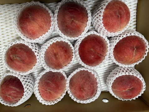 昨年3000件発送！うまいっ！【川中島白桃！！】5kg(10-16 玉）【夏ギフト】