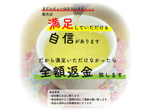 【たっぷり350g】業務用／350g お茶 緑茶 猿島茶 大容量 松田製茶