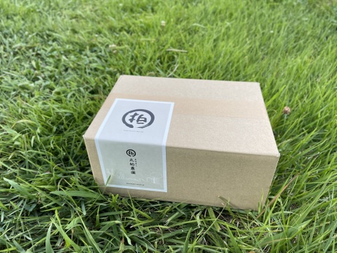 完熟しました！濃厚な甘み！山育ちのトウモロコシ6本