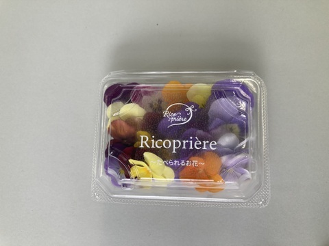 エディブルフラワー　ビオラミックス 20輪