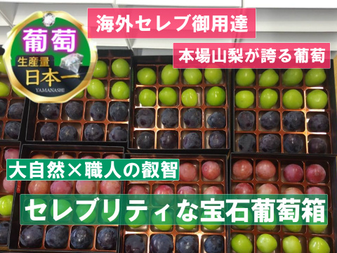 🍇セレブ御用達の宝石箱が日本初上陸🍇幻の天空ブランドジュエリーボックス食べ比べセット🍇約900g【天空ブランド上位人気ランカー葡萄詰め合わせ】