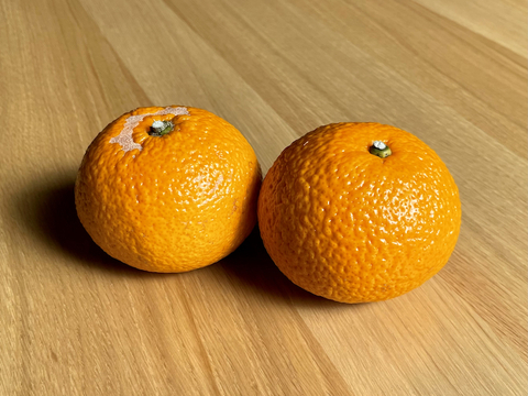 ★和歌山★【春の柑橘2種セット・5kg】はるか・スイートスプリング