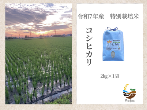 R7年産　特別栽培米コシヒカリ　2㎏