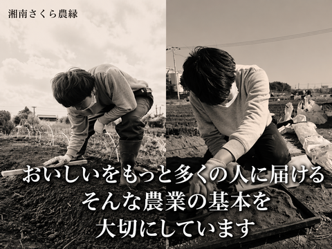 いろんな農家の旬野菜食べ比べBOX