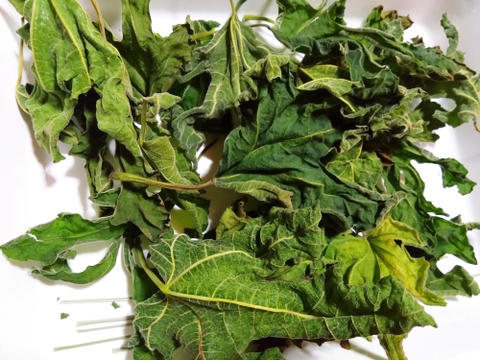 希少いちじく茶＆ドライフルーツセット【農薬・砂糖・添加物不使用】【全国一律送料】