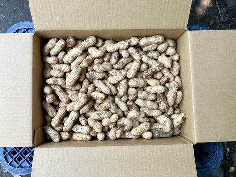 【鹿児島産】甘塩生落花生箱込み2キロ^_^