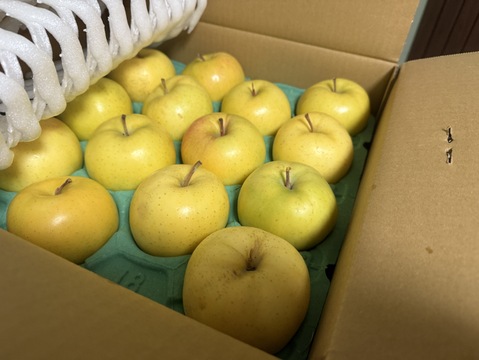 トキ5キロ　23～18玉  　香り、歯ざわり、口当たりも良好な秋田育ち