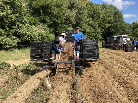 【ねっとり濃厚な甘さ＆なめらかで上品な甘さ】さつまいも詰め合わせセット3㎏