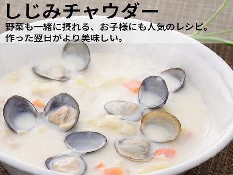 大粒で食べやすい！冷凍しじみＬサイズ2.7ｋｇ（900ｇ×3）砂抜き済み 島根県宍道湖産 味噌汁54杯分