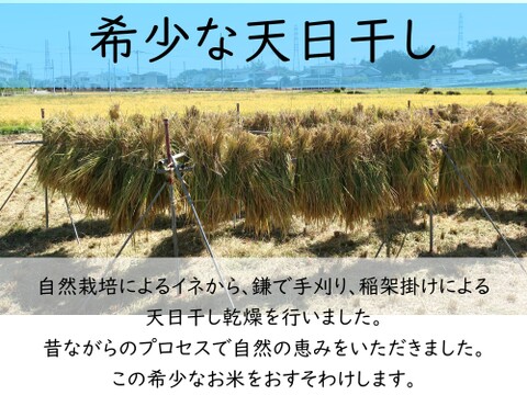 玄米食に最適「品種：はるみ」【希少な天日干し】自然栽培米