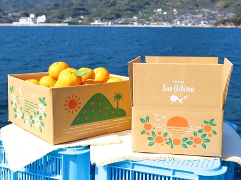 二人暮らしにぴったり☆食べきり容量🍊 みかん