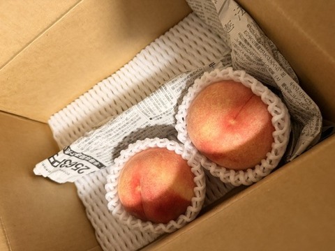 ☆数量限定☆川中島白桃ご家庭用2kg箱【クール便】：山形県産の白桃