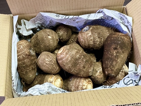 【絶品】所沢特産　至高のとろける土垂里芋(2kg)