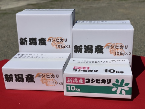【福袋】　限定個数特別価格　新潟米豪華な食べ比べセット　新潟県産　従来種コシヒカリ　店頭で入手するのは難しい希少米　と　トップブランド　新之助（新潟県認証銘柄）　各白米5kgセット（10キロ）