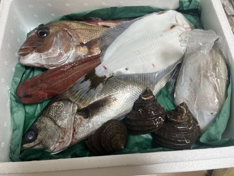 【数量限定】瀬戸内の鮮魚 2kg詰め合わせ！(3〜6種類)100サイズ