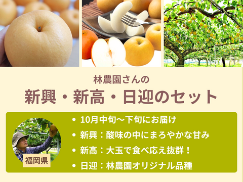 【限定300セット】梨食べ比べ便第１弾※送料込※（食べチョク公式）