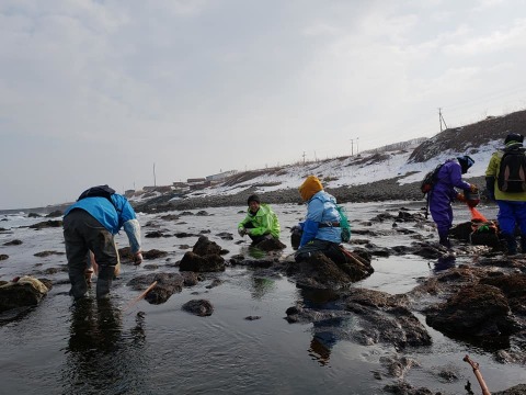 抜群の風味！焼尻島天然手摘み『岩のり』（板海苔）3枚×2袋